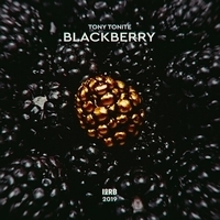 Альбом: Tony Tonite - Blackberry