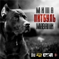 Альбом: Миша Маваши - Питбуль