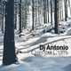 DJ Antonio – Снегом Стать