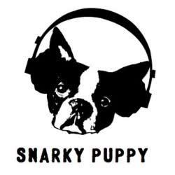 Snarky Puppy – Shofukan We Like It Here