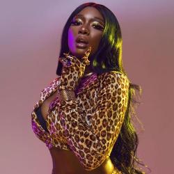 Megan Thee Stallion – Don't Stop (feat. Young Thug)