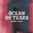 Imanbek – Ocean Of Tears (feat. Dvbbs)