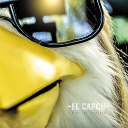 El Capon – Shut Up Chicken