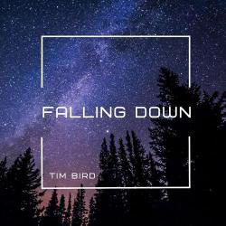 Tim Bird – Love in My Life