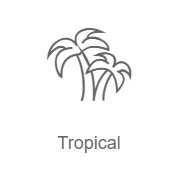 Tropical - Радио Рекорд - Россия