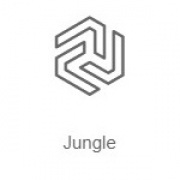 Jungle - Радио Рекорд - Россия